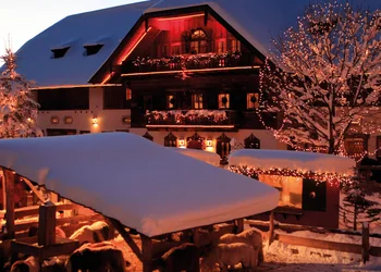 Gut Aiderbichl & Salzburger Christkindlmarkt