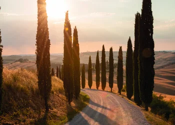 PREMIUM Unter der roten Sonne der Toskana